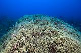 GWD anse a la barque bouee nord 1fev2014_02